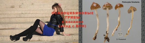бутират Богданович