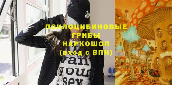 стафф Богородск