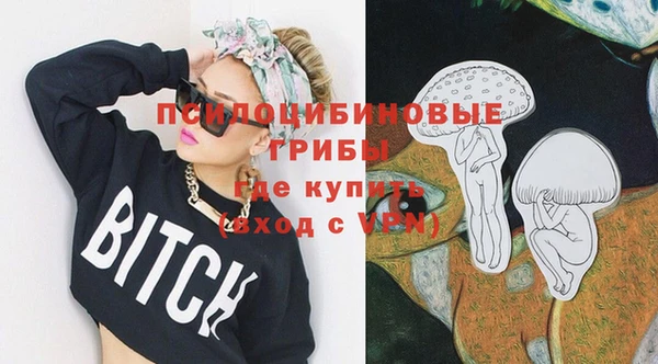 стафф Богородск