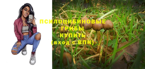 стафф Богородск